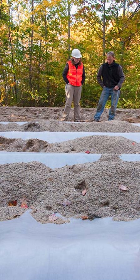 Environmental Consulting